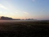  mystischer Morgennebel 