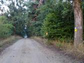  Wanderroute durch den TPL 
