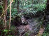  Blick auf den Steinbach 