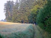  Blick auf die Wanderstrecke 
