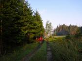 Blick auf die Wanderstrecke in der Riede Hinterholz 