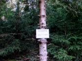  2. Streckenteilung 