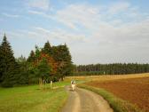 Wanderroute zum Gedenkstein "Walther von der Vogelweide" 