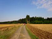  Blick auf die Wanderroute zur Riede Mai 