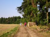  Blick auf die Wanderstrecke in der Riede Mai 