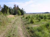  Blick auf die Wanderstrecke 