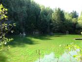  Blick zum "grnen" Teich 