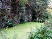  Blick zum 2. "grnen" Teich 