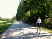 Blick auf die Wanderroute auf der L8099 nach Modlisch  
