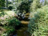  Blick auf die Thaya 