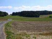  Blick auf die Wanderstrecke 