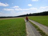  Blick auf die Wanderstrecke zum Pfarrwald 