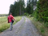  Blick auf die Wanderstrecke beim Pfarrwald 