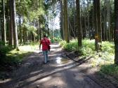  Wanderroute durch den Pfarrwald 