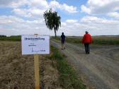  Marathonis bei der letzten Streckenteilung 