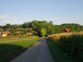  Blick auf die Wanderroute zur Weinberggasse 