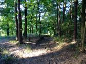  Wanderroute bergab in den Eindgraben 