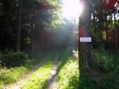  Wanderroute im Eindgraben 