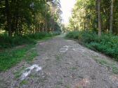 Blick auf die Wanderstrecke durch die Riede "Oberer Sattel" 