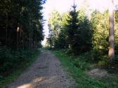 Blick auf die Wanderstrecke durch die Riede "Oberer Sattel" 