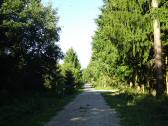 Blick auf die Wanderstrecke durch die Riede "Oberer Sattel" 