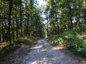  Blick auf die Wanderstrecke 
