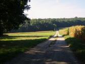  Blick auf die Wanderstrecke 