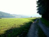  Blick auf die Wanderroute durch die Riede Gradfeld 