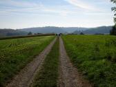  Blick auf die Wanderroute durch die Riede Gradfeld 