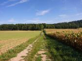  Blick auf die Wanderroute durch die Riede Gradfeld 