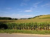  Fernblick zurck nach Hameten 
