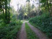 Blick auf die Wanderstrecke 