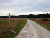  Blick auf die Wanderstrecke 