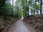  Blick auf die Wanderstrecke 