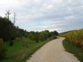  Wanderweg vorbei am Naturlehrgarten an der Bibert 