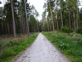  Blick auf die Wanderstrecke 