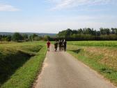  Blick auf die Wanderroute nach Ammerndorf 