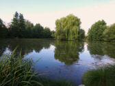  schner Blick auf den Dorfweiher 