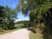  Blick auf die Wanderstrecke beim Weiher 