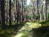  Blick auf die Wanderstrecke 