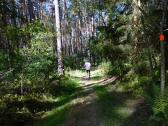  Blick auf die Wanderstrecke 