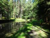  Blick auf die Wanderstrecke 