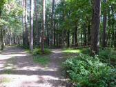  Blick auf die Wanderstrecke 