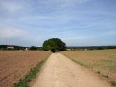  Wanderroute nach Wachendorf 