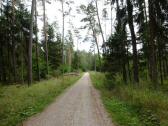 Blick auf die Wanderstrecke 