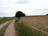  Blick auf die Wanderstrecke 