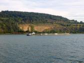  Blick ber die Donau zum Steinbruch Ebersdorf 