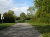  Blick auf die Wanderstrecke am linken Donauufer 