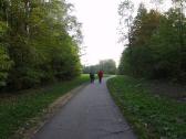 Blick auf die Wanderstrecke am linken Donauufer 