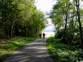  Blick auf die Wanderstrecke am linken Donauufer 